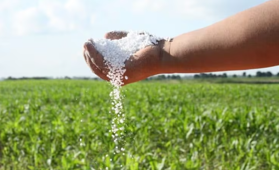 Brasil consume más del doble de fertilizantes por hectárea que Argentina