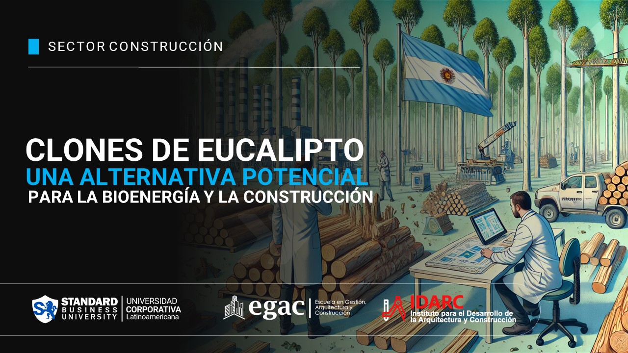 Industria forestal: clones de eucalipto, una alternativa con potencial para la bioenergía y la construcción
