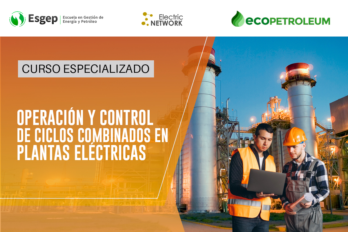CURSO ESPECIALIZADO EN OPERACIóN Y CONTROL DE CICLOS COMBINADOS EN PLANTAS ELéCTRICAS