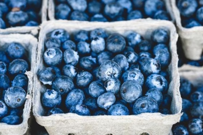  Chile sigue de cerca la producción de arándanos peruanos, ¿por qué?