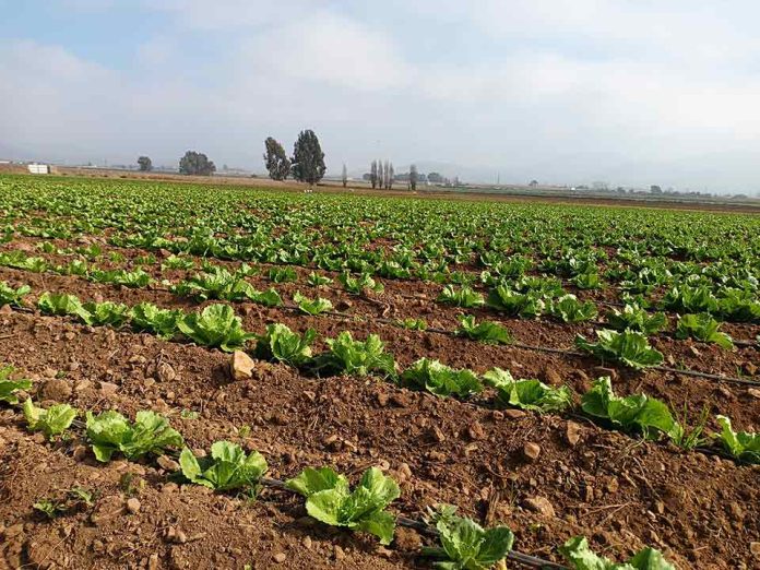 CHILE: Regantes del Norte Chico podrán mejorar sus sistemas de tecnificación a través de concurso de riego con fondos por $1.100 millones