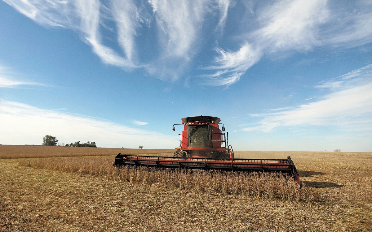 MÉXICO: En pausa, en piso o en techo, ¿dónde están los commodities agrícolas?