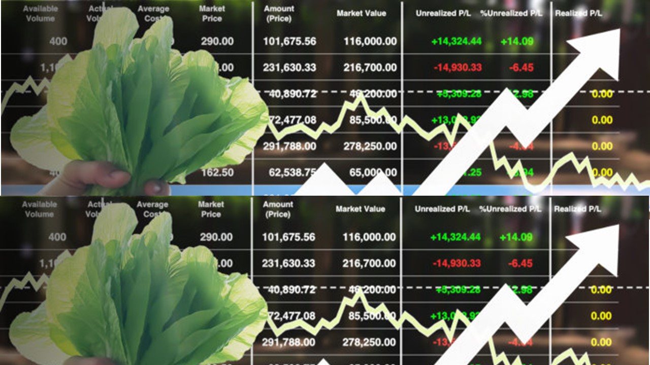 CONSULTORíAS ESPECIALIZADO EN MáRKETING DE VENTAS