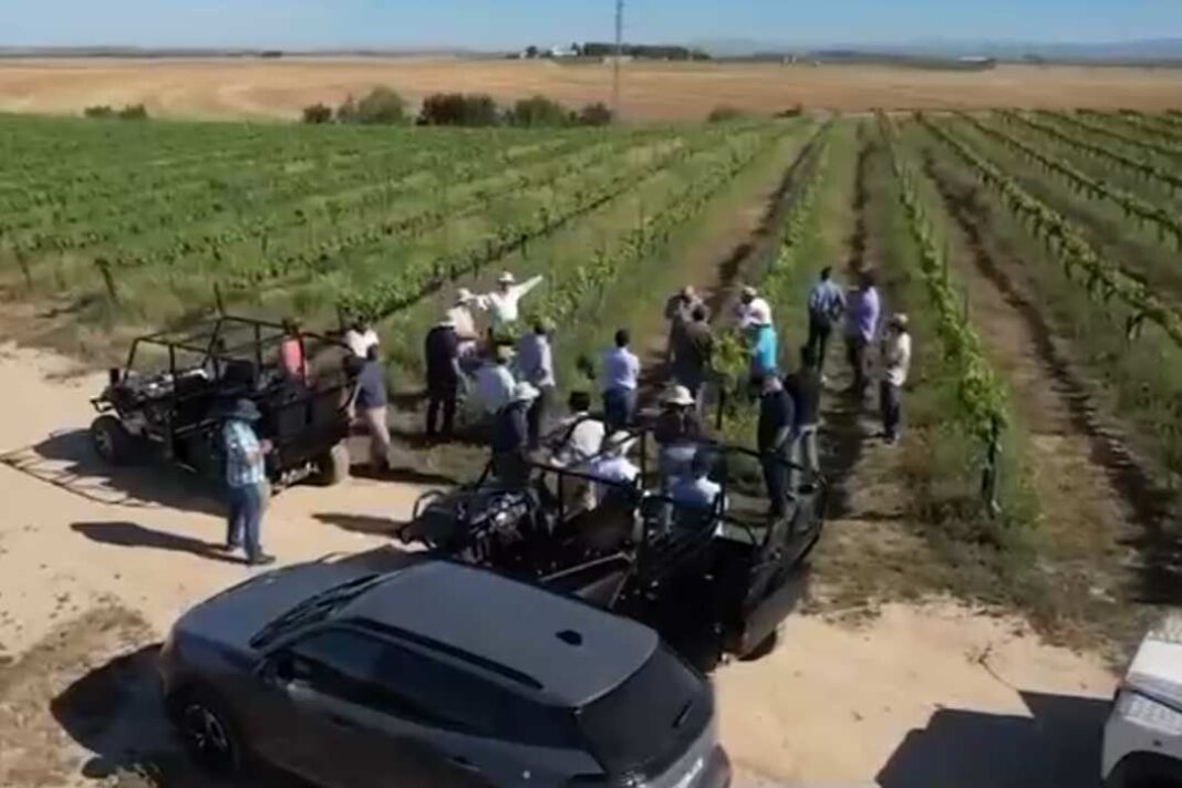 CHILE: Copeval auspicia diplomado en España sobre tecnología e innovación frutícolas